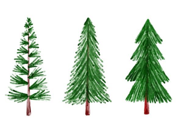 Christmas Watercolor Fir Tree: A Designer's Review